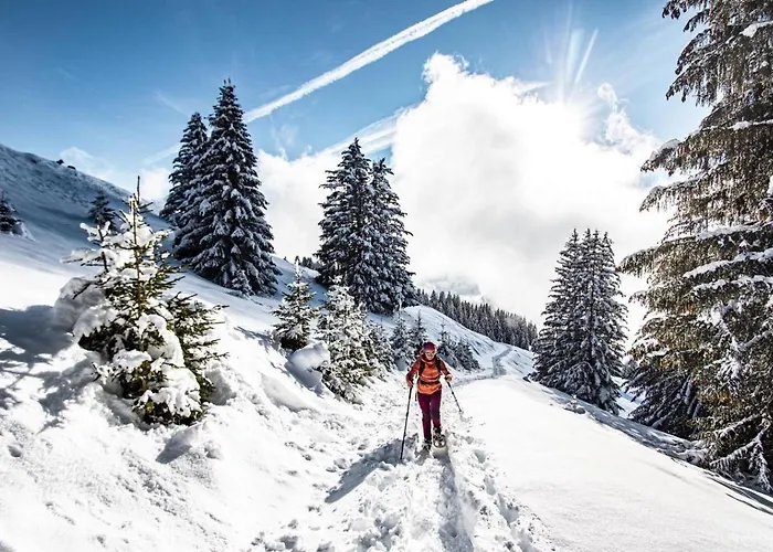 Appartement Toison Blanche Tba3 Cosy&mountain 4 Pers