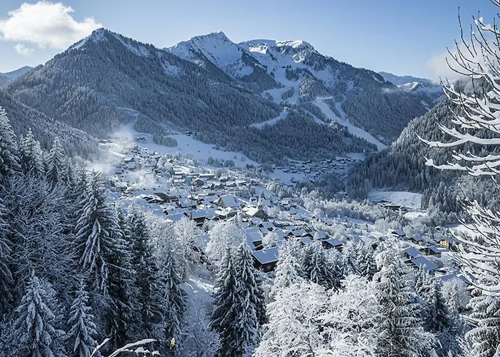 Toison Blanche Tba3 Cosy&mountain 4 Pers Appartement