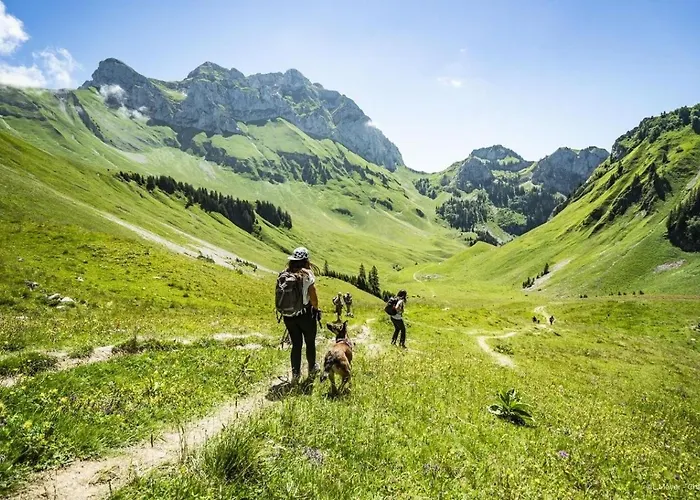 Toison Blanche Tba3 Cosy&mountain 4 Pers *