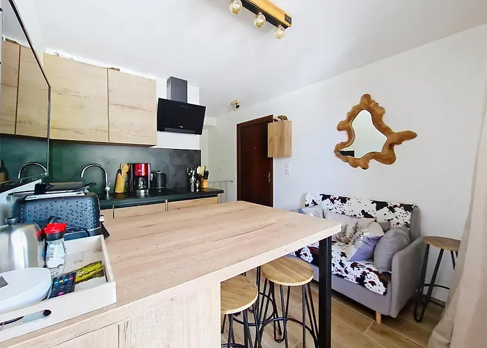 Toison Blanche Tba3 Cosy&mountain 4 Pers Appartement *